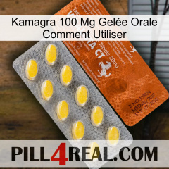 Kamagra 100 Mg Gelée Orale Comment Utiliser 42